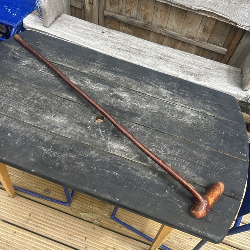 Hasel gehstock shillelagh - hasel,