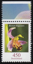 3191 blume bienen - bienen-ragwurz, 450