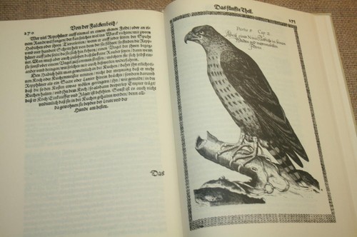 Fachbuch falknerei falconaria - fachbuch,