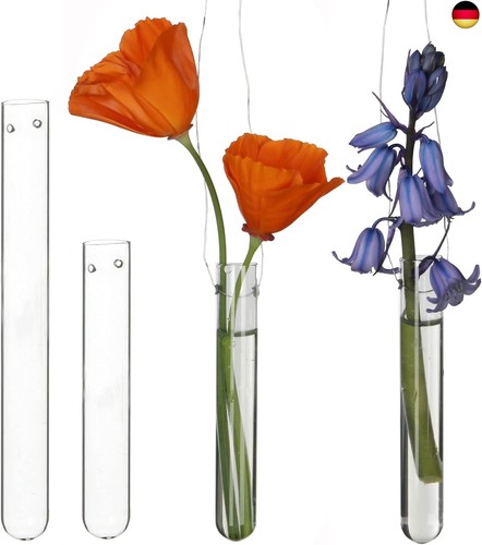 Reagenzgläser für blumen - 12,