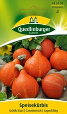 Hokkaidokürbis "Uchiki Kuri"