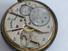 Vintage darwil uhrwerk - darwil,