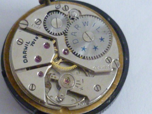 Vintage darwil watch movement - vintage,