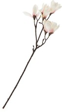 Dpi magnolienzweig blüten - 6,
