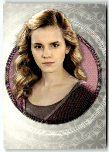 Panini harry potter - harry, magical