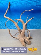 👋XXL Moorkien - Spiderwood