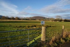 Foto 12x8 Rotmilan Bogenschießen Boden Carnedd Nutzung des flachen Raumes nahe C c2013