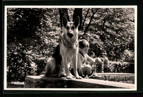 Foto knabe mit schäferhund - mit,