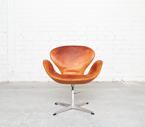 Arne jacobsen swan - arne, for