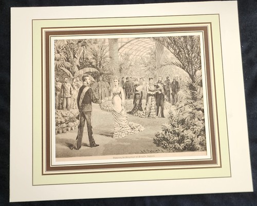Thronfolger rudolphi - k, +