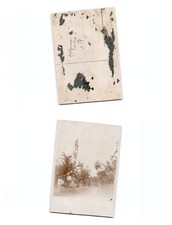 (b88739a54)   Elsass