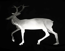 Edelstahl Rentier gelasert geflext