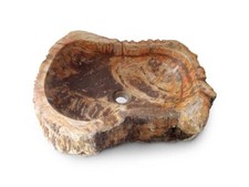 Fossil Versteinerten Holz Waschbecken 50 cm – Einzigartiges Unikat aus der Na...