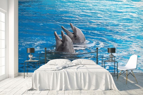 Ozean delphin q1571 tapete - ozean,