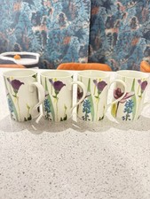 Portmeirion Wassergarten