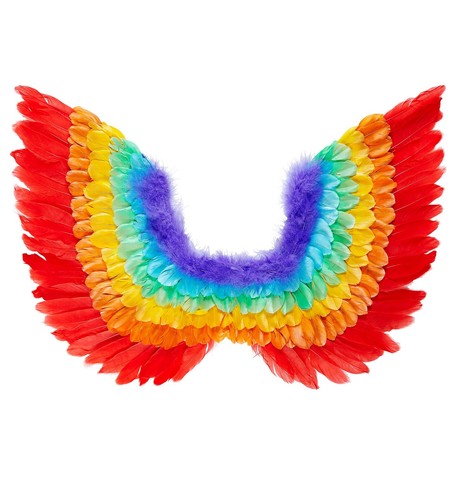 Regenbogen federflügel x - 60,