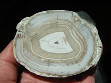 F562 Achat Anschliff aus dem