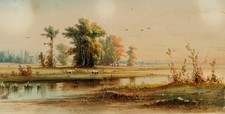 Störche marschlandschaft - störche,