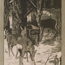 Winterlandschaft Rehe im Wald