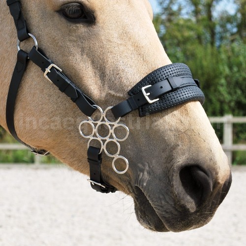Flower hackamore gebisslose - flower,