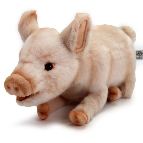 Plüsch schwein ferkel - plüsch,