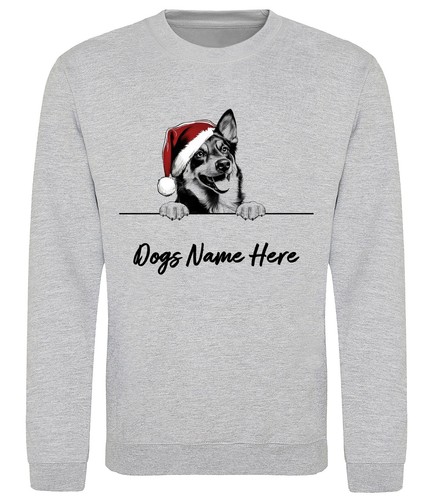 Lancashire heeler - lancashire,