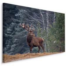 CANVAS Leinwand Bilder XXL