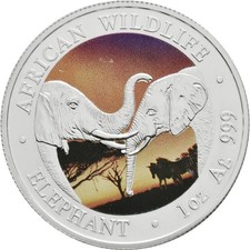 Zambia - African Wildlife