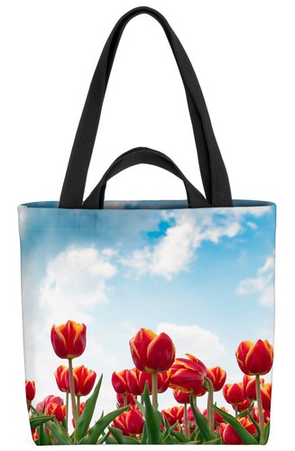 Niederlande tulpen blumen rot - niederlande,