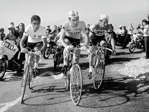 Foto luis ocaña eddy merckx - eddy,