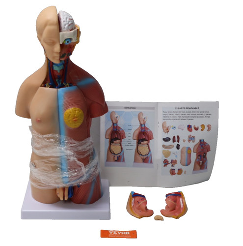 Vevor 45cm unisex torso - 45cm,