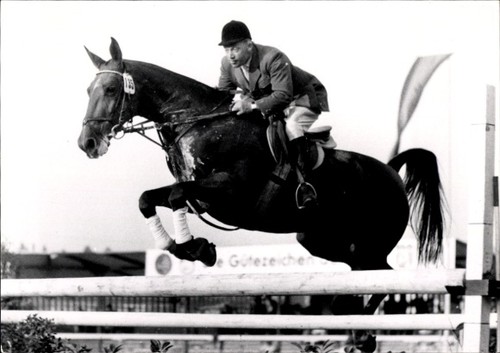 Foto springreiten sprung - foto, springreiten,