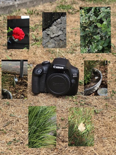 Canon eos 4000d body - 4000d,