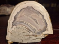 Achat Steinbruch Juchem Niederwörresbach