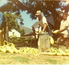 Echte natürliche afrikanische
