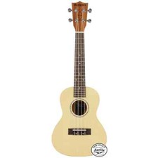 Akkord Primero 24" Konzert