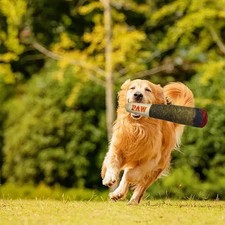 Hundespielzeug Unzerstörbar