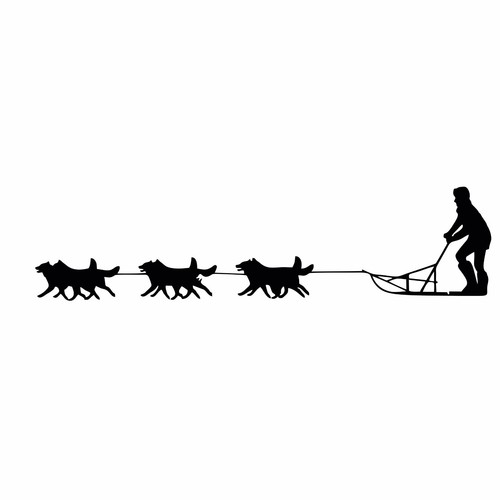 Musher hundeschlitten - musher,