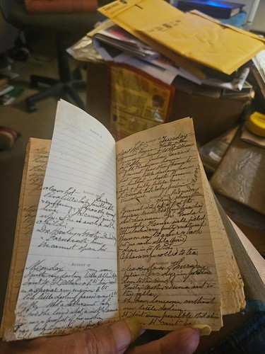 1877 diary willis learned - 1877,