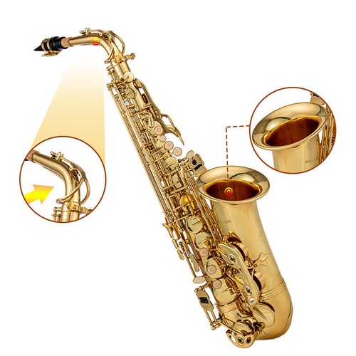 Elektrophorese gold saxophon - elektrophorese,