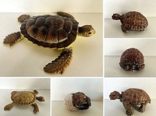 Schleich Fremdserie AAA Classics Schildkröten turtle Seetiere Meer sea animals