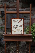 Wilhelm Neuhäuser Aquarell