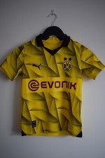 Borussia Dortmund 2023 2024