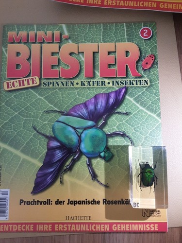 Mini biest japanischer - mini,