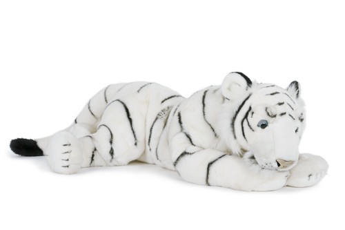 Großer weißer tiger - großer,