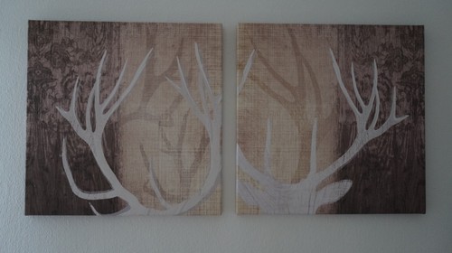 Bilder geweih hirsch - bilder,