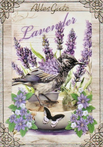 Passepartoutkarte lavendel - passepartoutkarte,