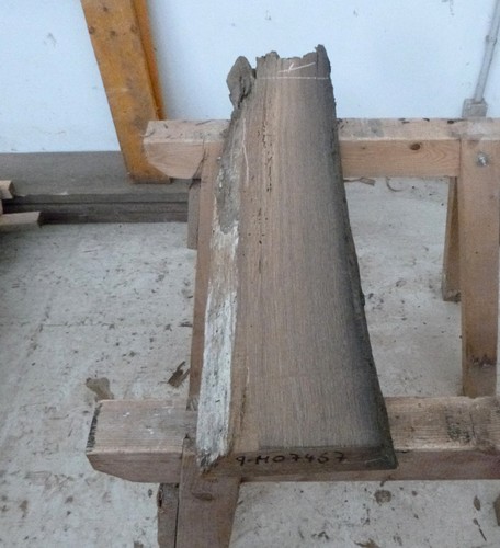 Mooreiche moorholz altholz - moorholz,