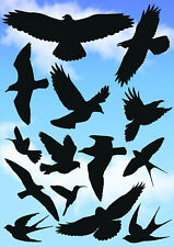 Vögel Vogel Schutz Aufkleber