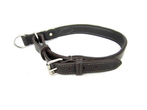 Flaches hundehalsband aus - flaches,